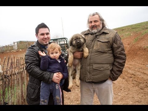 Видео: 13. ПРИЈАТЕЛИ - Миленко Неделковски 2 - настан