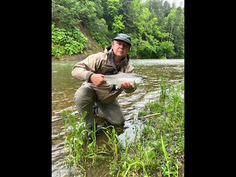 Видео: Обновлённая версия удилища KOLA SALMON  Nymph Specialist #2 11'4" 5 колен. Сезон испытаний.