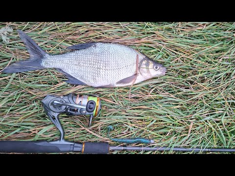 Видео: Зачем щука? Когда есть ОН....