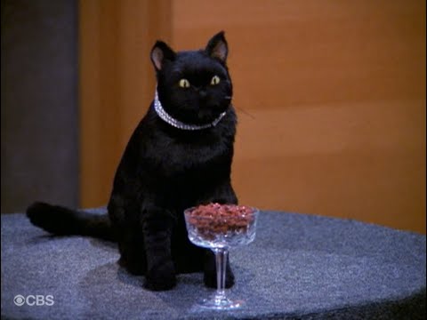 Видео: Кот Селем и Зельда в рекламе Кошка крошка. Сабрина - маленькая ведьма.