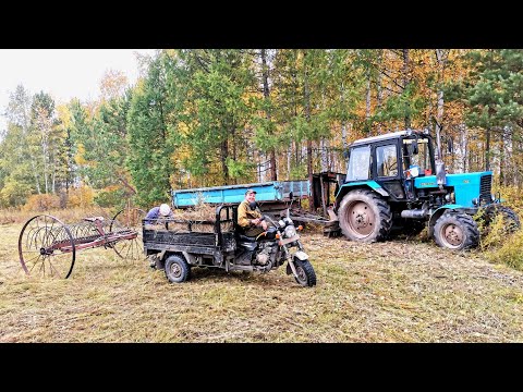 Видео: ОСЕННИЙ СЕНОКОС. СИБИРСКАЯ ГЛУБИНКА В ИРКУТСКОЙ ОБЛАСТИ.