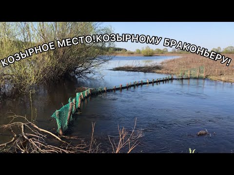 Видео: НОВЫЙ ПЛОТИК НА КОЗЫРНОМ МЕСТЕ!ПОСТАВИЛ НОВЫЕ НЕРЕТА!