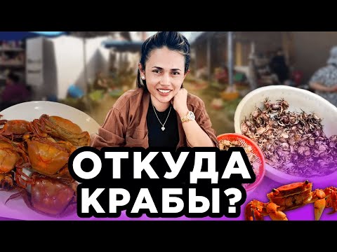Видео: ОТКУДА Крабы ?с Рисового Поля From Where to Crabs? From Rice Field