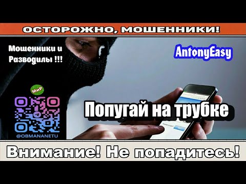 Видео: Мошенники звонят по телефону / Попугай на трубке ( сборник ).