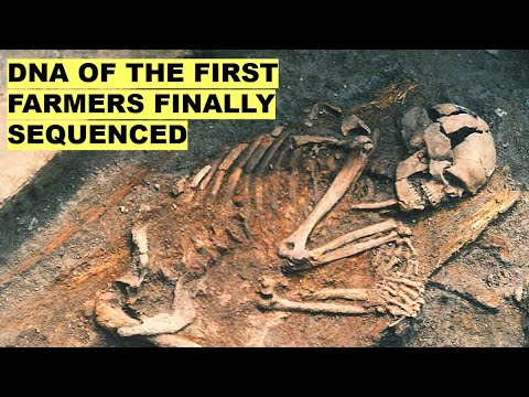 Видео: Генетическое происхождение древнейших земледельцев раскрыто с помощью древней ДНК