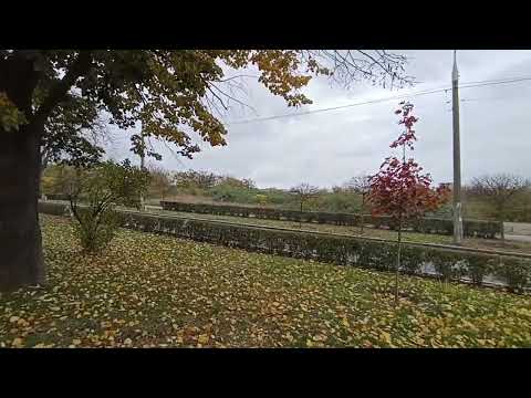 Видео: В ЗАПОРОЖЬЕ ❤️ ОСЕНЬ 🍁 НОЯБРЬ 2025 