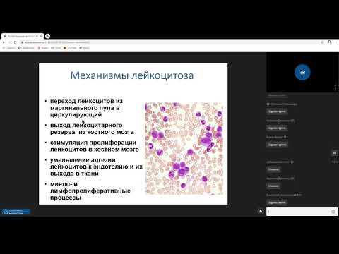 Видео: Патофизиология белой крови