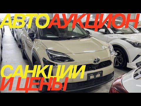 Видео: ЯПОНЦЫ И МОСБИРЖА HONDA STREAM FIT CIVIC SHUTTLE SUBARU IMPREZA TOYOTA YARIS CROSS MITSUBISHI PAJERO