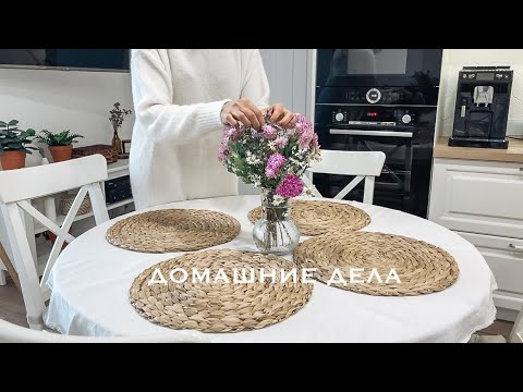 Видео: 🪴ДОМАШНИЕ ДЕЛА🥙ВКУСНЫЙ ОБЕД | СТРИГУ СОБАКУ🐶