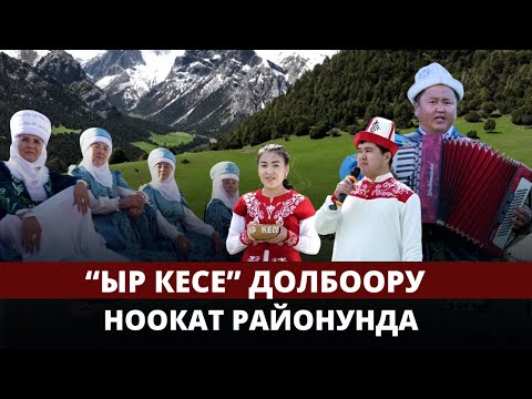 Видео: "Ыр кесе" долбоору Ноокат районунда