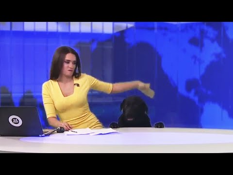 Видео: ЛЯПЫ И ПРИКОЛЫ В ПРЯМОМ ЭФИРЕ #1 ПОДБОРКА 2020 | BLOOPERS AND GAGS LIVE #1 COMPILATION 2020
