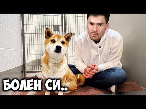 Видео: Станах Ветеринарен Лекар😱