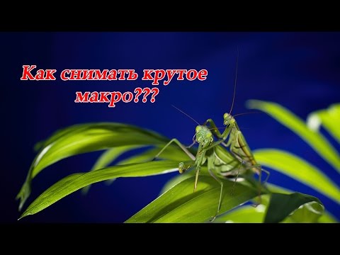 Видео: Макрокольца для Canon