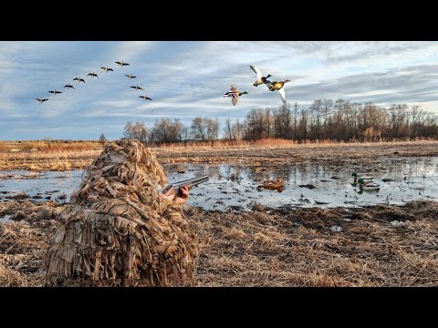 Видео: ЖДАЛИ УТОК, А НАЛЕТЕЛИ ОНИ! ВЕСЕННЯЯ ОХОТА НА СЕЛЕЗНЯ С ПОДСАДНОЙ 2025.