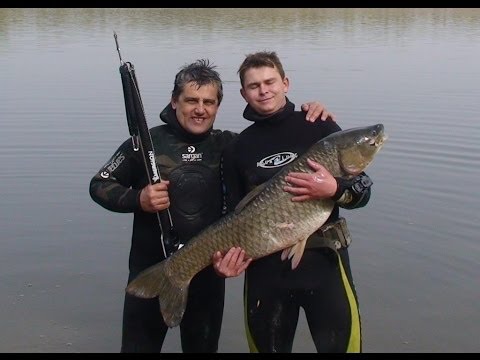 Видео: Ступино день II \ Подводная охота Александр Кочубей