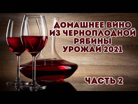 Видео: Домашнее вино из черноплодной рябины. Урожай 2021 года. Часть II