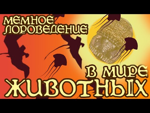 Видео: Бестиарий Морровинда | Существа | The Elder Scrolls