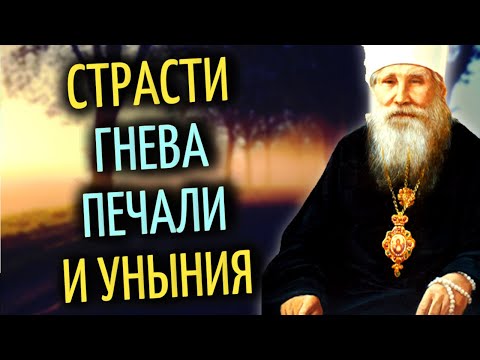 Видео: Гнев, обида, раздражение - это очень опасные страсти -  священноисповедник Николай (Могилевский)