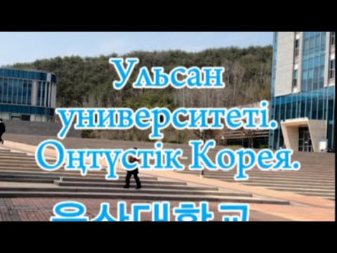 Видео: 3 октября 2024 г.