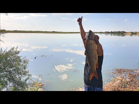 Видео: Супер рыбалка, крупная река 2020 отличное место, второе открытие сезона. часть 1/2