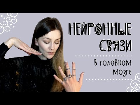 Видео: Нейронные связи головного мозга