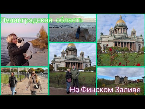 Видео: На Финском заливе с Максимом и Лидой .Территория отдыха ХЕВАА. Кронштадт,Питер.Мы под Впечатлением 🥰