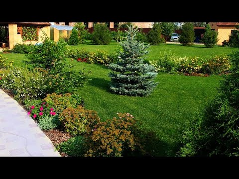 Видео: Оригинальные идеи для дачного участка / Ideas for a summer cottage