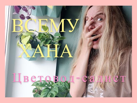 Видео: ЦВЕТОЧНЫЙ ВЛОГ| ЧЕРЕНКУЮ | ГНИЮТ КЛУБНИ: КАЛАДИУМ, КАЛЛЫ | СРЕЗАЮ ТРАДЕСКАНЦИЮ | ГОРЯТ ЛИСТЬЯ