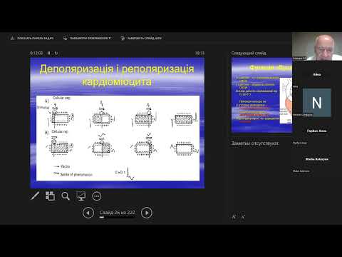 Видео: Нормальна ЕКГ - частина 2