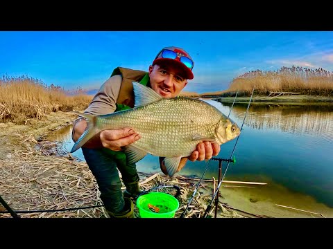 Видео: СУЛА ПРОСИПАЄТЬСЯ!!! Відкриваємо СЕЗОН ФІДЕРУ ЛЯЩАМИ!!!