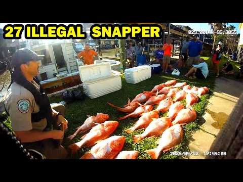 Видео: В Техасе поймали 15 взрослых с 27 нелегальными красными люцианами