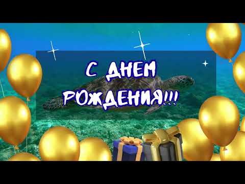 Видео: 🌹🎶С Днем Рождения! 💙Музыкальное поздравление!🎂🥂🍾