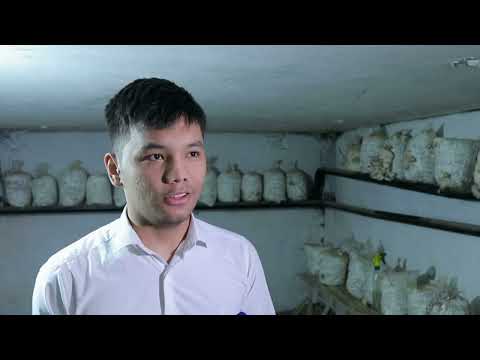 Видео: БИЗ ИМКОН ТОПДИК ЕРТЎЛАДА ҚЎЗИҚОРИН ЎСТИРАЯПМИЗ