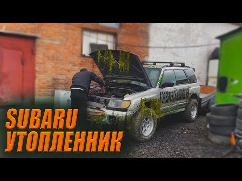 Видео: ЗАВОДИМ УТОПЛЕННОГО SUBARU FORESTER