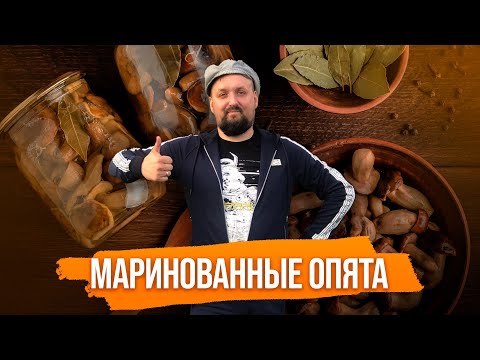 Видео: Маринованные опята.