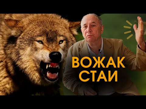 Видео: Волк в теле человека. Тайны наших прошлых жизней