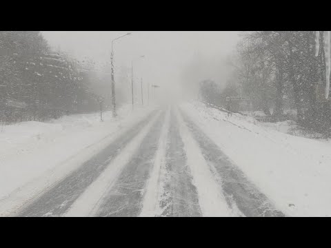 Видео: В нашем полку прибыло... !