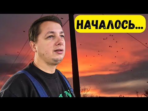 Видео: На дачу с ночевкой. Рыбалка. Свет починили сами. Влог