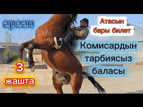Видео: Комисардын тазасы кучтуу аттын баласы тарбия керек бирок