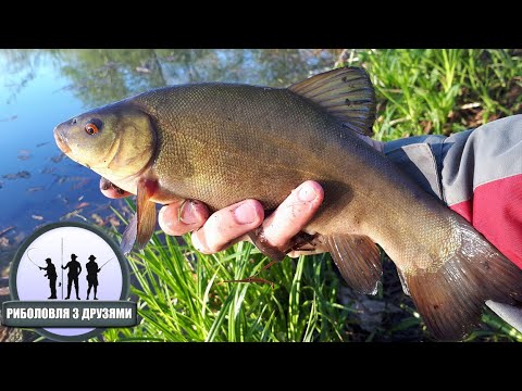 Видео: Гарний Лин На Поплавок. Де і Коли Ловити
