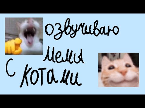 Видео: Озвучка мемов про котов 