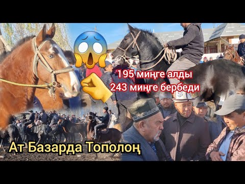 Видео: НООКАТ ЖЫЛКЫ БАЗАРДА ЭМНЕ ТОПОЛОҢ АДЫЛ ава  195 миңге алып 243 миңге бербеди