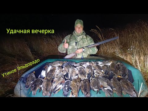 Видео: УТИНОЕ ЭЛЬДОРАДО. 30МИНУТ МЕШОК УТОК. РУКИ ГРЕЛ ОБ СТВОЛЫ