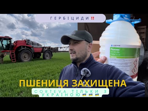 Видео: Гербіцидний захист пшениці‼️ наш варіант. #corteva #палас