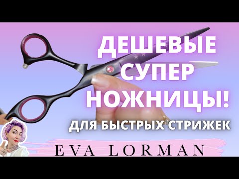 Видео: Супер НОЖНИЦЫ для стрижки волос из Китая | Ева Лорман.