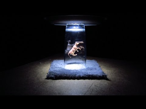 Видео: Прикольный ночник в виде НЛО