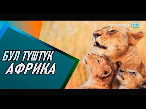 Видео: "ТҮШТҮК АФРИКА" ЖАНЫБАРЛАР ДҮЙНӨСҮ