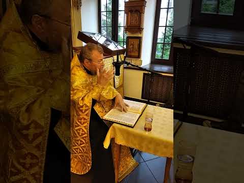 Видео: ПРИТЧА О СЕЯТЕЛЕ (Лк.8,5-15). Протоиерей Олег Стеняев