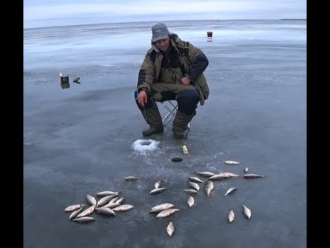 Видео: Рыбалка 2019 .Нашел заветную лунку.Да сколько же здесь Рыбы.