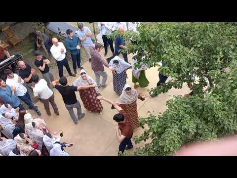 Видео: 7 августа 2025 г.
